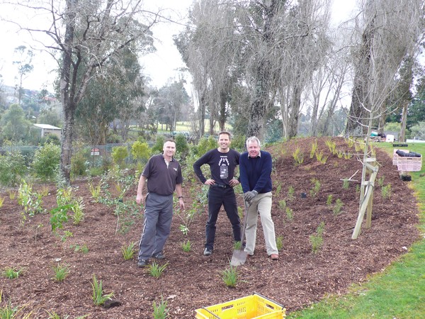 From left: Reon Forster, Shawn Vennell, and Rex Mathieson of Quality Print at Riverside Park planting day